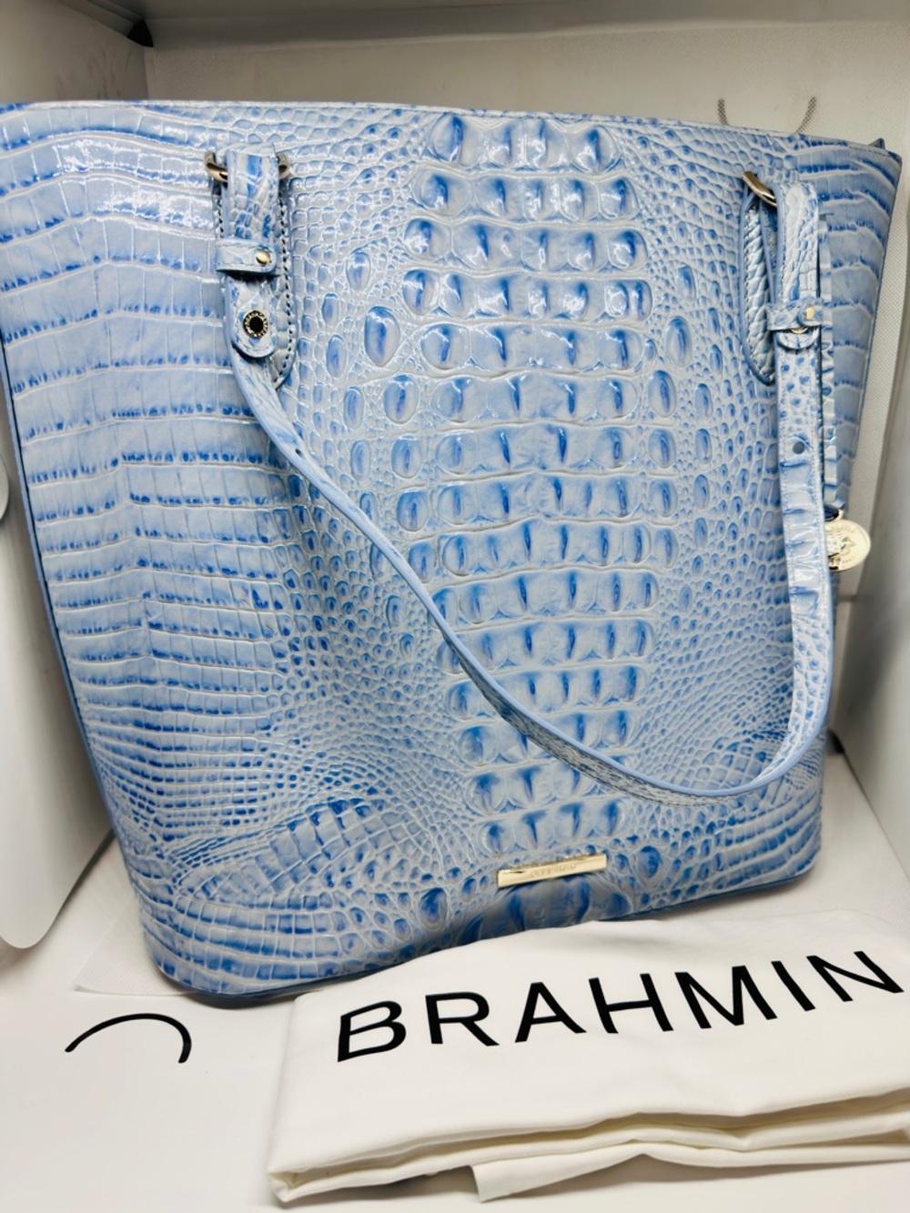 Brahmin Ezra Melbourne Leather Tote